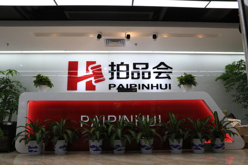 从数字看变革 深圳网络科技与拍品会的创新畅想