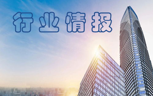 搜了动态 深圳市搜了网络科技股份有限公司的创新之路