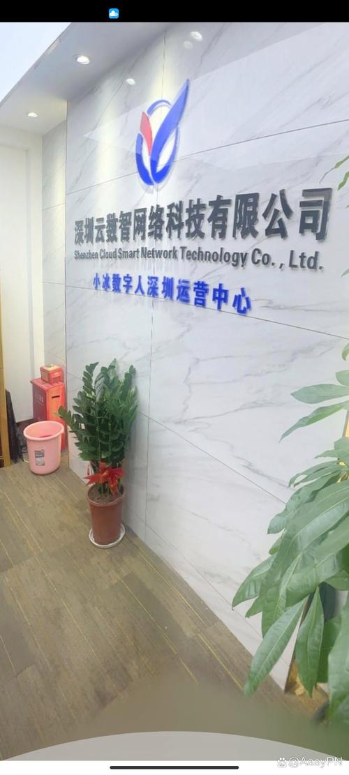 深圳网络科技与互联数智科技的探索 天天跑市场的真实写照